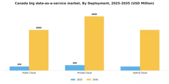 Canada Big Data As A Service Market Segment Image 0