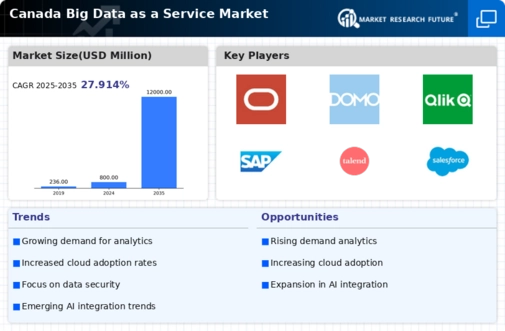 Canada Big Data As A Service Market Infographic