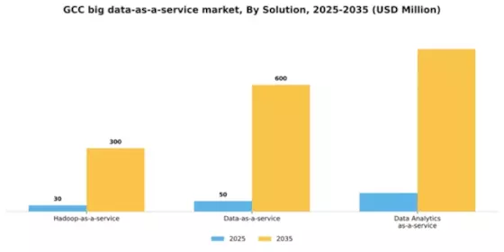 GCC Big Data As A Service Market Segment Image 1