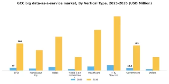 GCC Big Data As A Service Market Segment Image 2