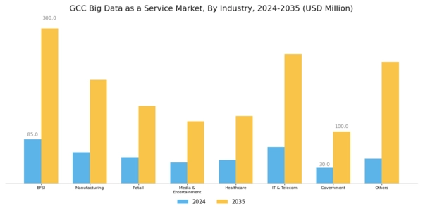 GCC Big Data As A Service Market Segment Image 2