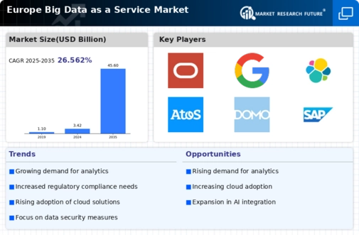 Europe Big Data As A Service Market Infographic