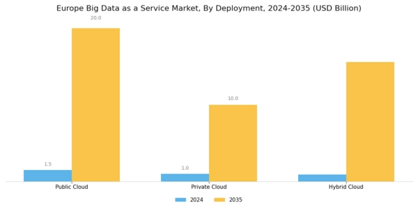 Europe Big Data As A Service Market Segment Image 1