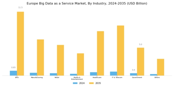 Europe Big Data As A Service Market Segment Image 2