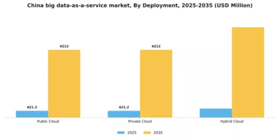 China Big Data As A Service Market Segment Image 0