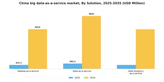 China Big Data As A Service Market Segment Image 1