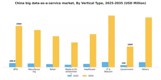 China Big Data As A Service Market Segment Image 2