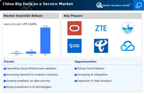 China Big Data As A Service Market Infographic