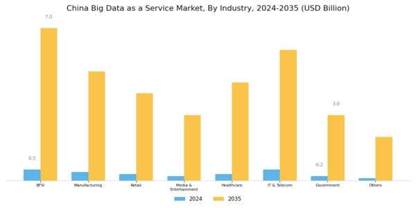 China Big Data As A Service Market Segment Image 2