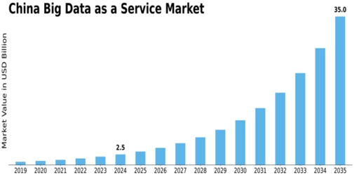China Big Data As A Service Market Size