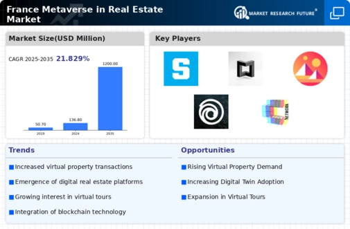 France Metaverse In Real Estate Market Infographic