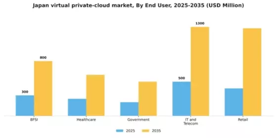 Japan Virtual Private Cloud Market Segment Image 2
