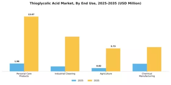 Thioglycolic Acid Market Segment Image 2