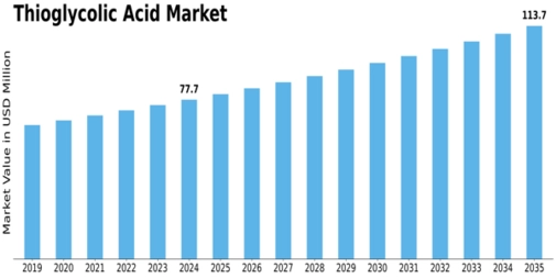 Thioglycolic Acid Market Size