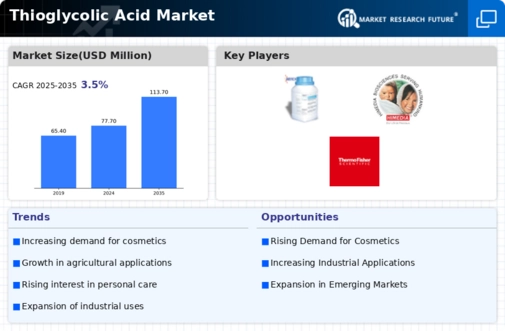Thioglycolic Acid Market Infographic