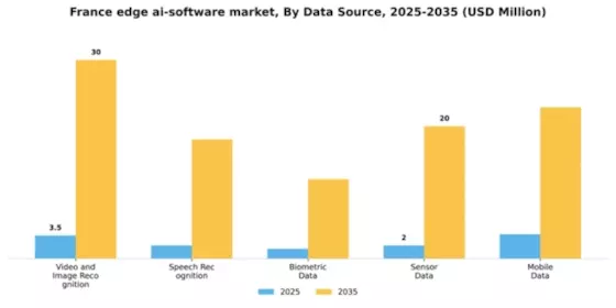 France Edge Ai Software Market Segment Image 2
