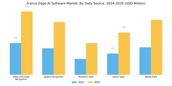 France Edge Ai Software Market Segment Image 0