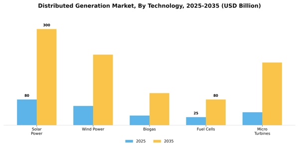 Distributed Generation Market Segment Image 3