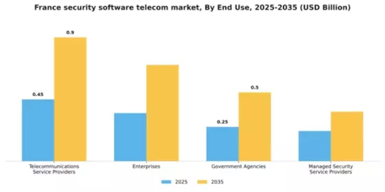 France Security Software Telecom Market Segment Image 3