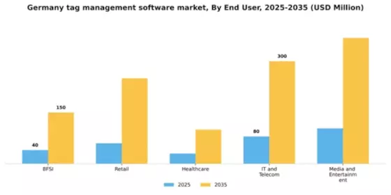 Germany Tag Management Software Market Segment Image 2