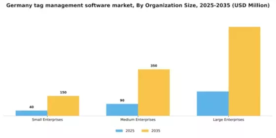 Germany Tag Management Software Market Segment Image 3