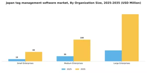 Japan Tag Management Software Market Segment Image 3