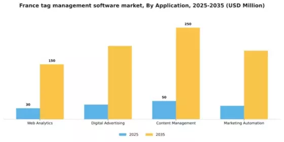 France Tag Management Software Market Segment Image 0