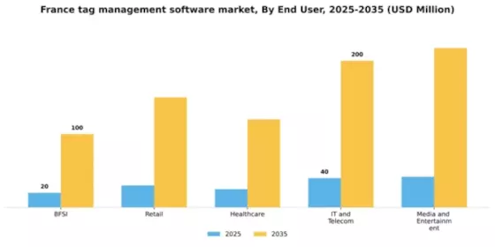France Tag Management Software Market Segment Image 2