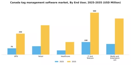 Canada Tag Management Software Market Segment Image 2