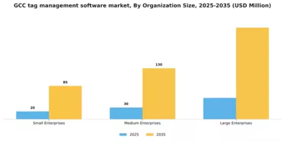 GCC Tag Management Software Market Segment Image 3