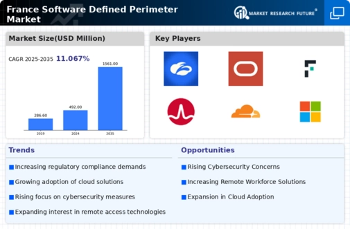 France Software Defined Perimeter Market Infographic