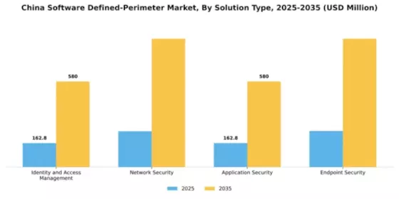 China Software Defined Perimeter Market Segment Image 3