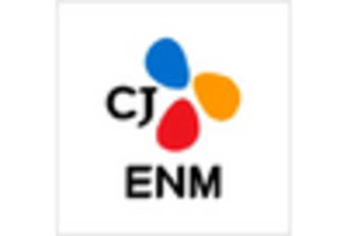 South Korea Immersive Technology in Entertainment Market key player