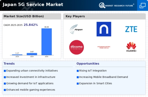 Japan 5G Service Market Infographic