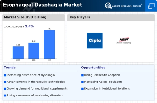 Esophageal Dysphagia Market Infographic