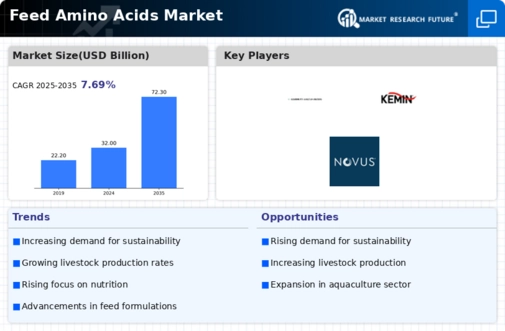 Feed Amino Acids Market Infographic