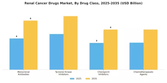 Renal Cancer Drug Market Segment Image 1