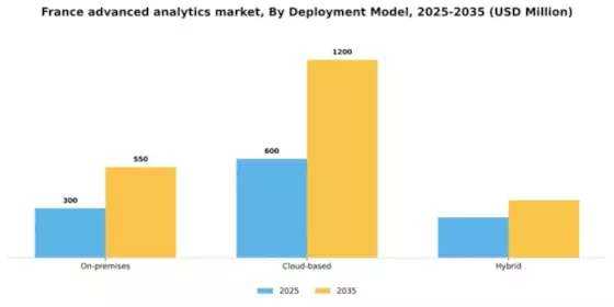 France Advanced Analytics Market Segment Image 0