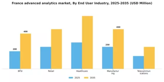 France Advanced Analytics Market Segment Image 1