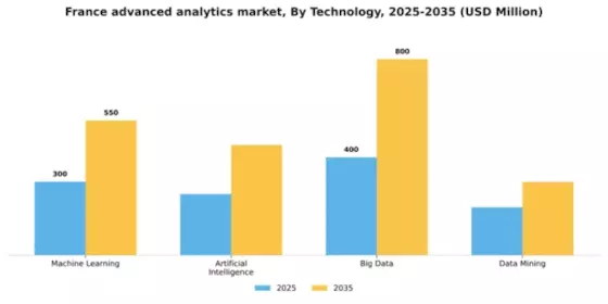 France Advanced Analytics Market Segment Image 3