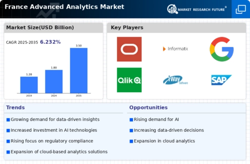 France Advanced Analytics Market Infographic