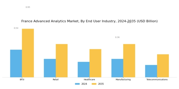 France Advanced Analytics Market Segment Image 2