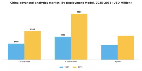China Advanced Analytics Market Segment Image 0