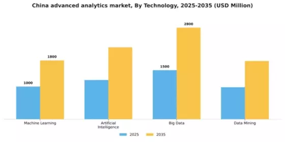China Advanced Analytics Market Segment Image 3