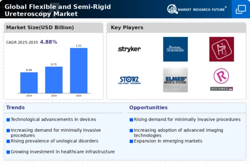 Flexible Semi-rigid Ureteroscopy Market Infographic