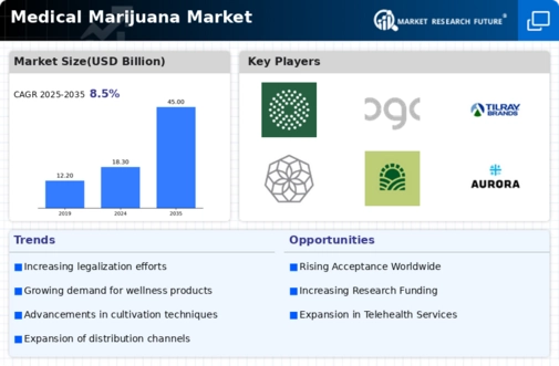 Medical Marijuana Market Infographic