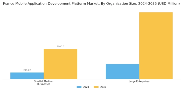France Mobile Application Development Platform Market Segment Image 1