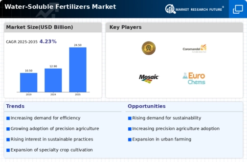 Water-soluble fertilizers Market Infographic