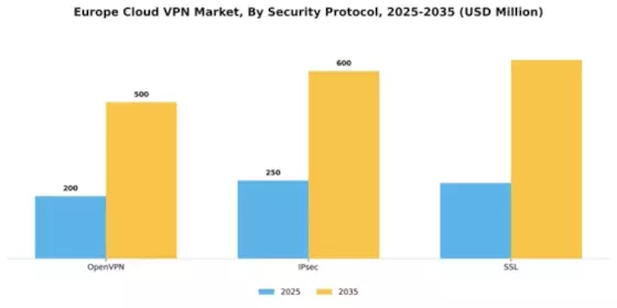 Europe Cloud Vpn Market Segment Image 2