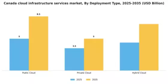 Canada Cloud Infrastructure Services Market Segment Image 0